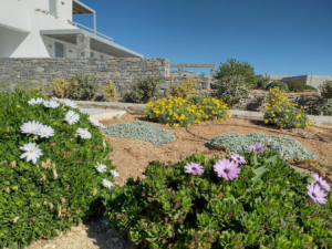 Gardens Maintenance Paros Antiparos Gardens Maintenance Paros Antiparos